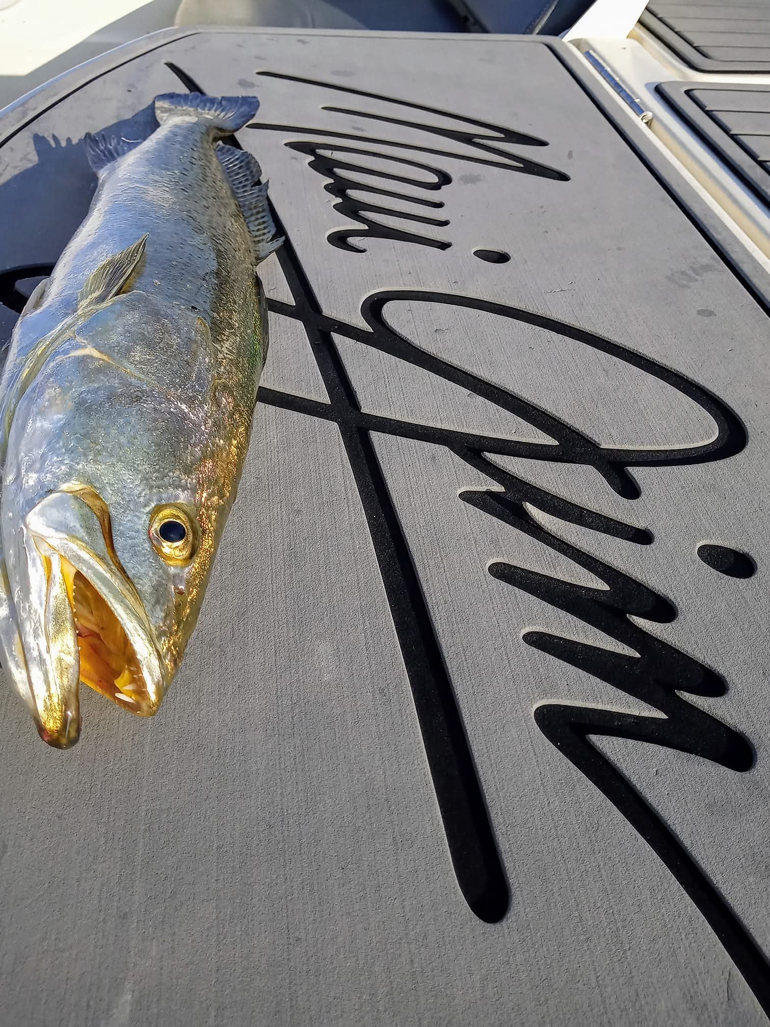 FB_IMG_1752770438401