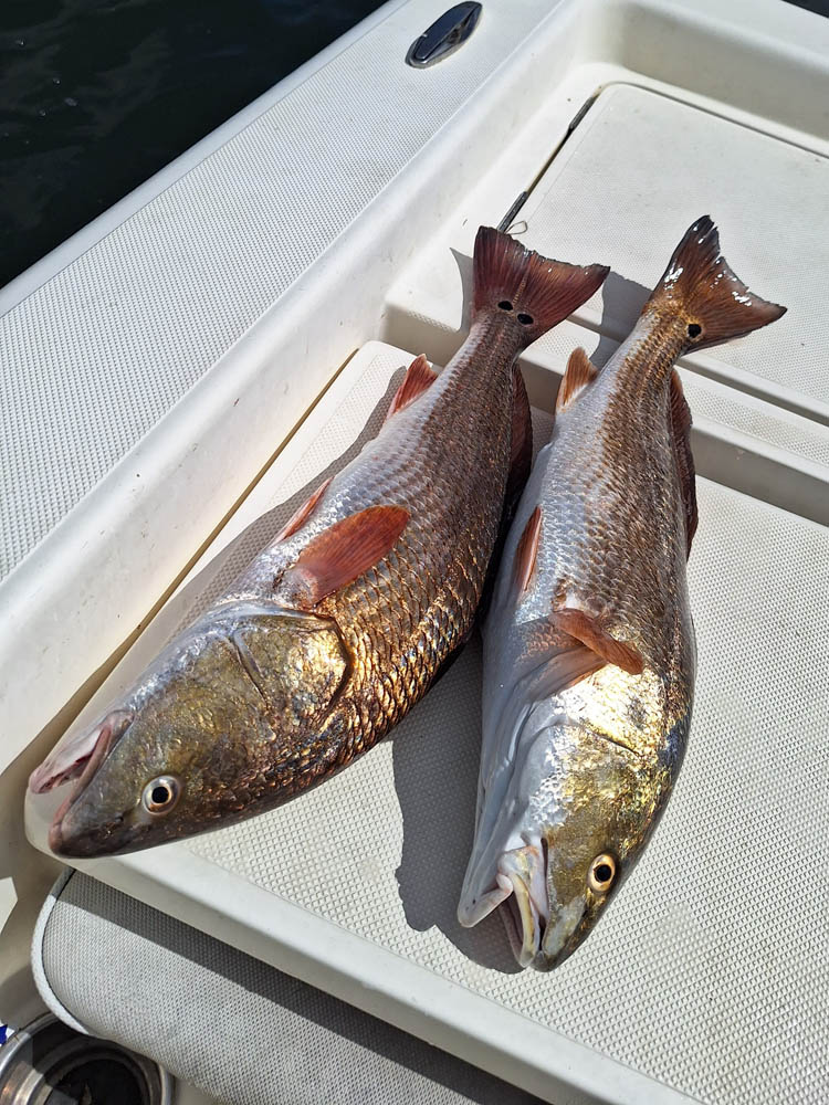 lucky-chucky-charters-17